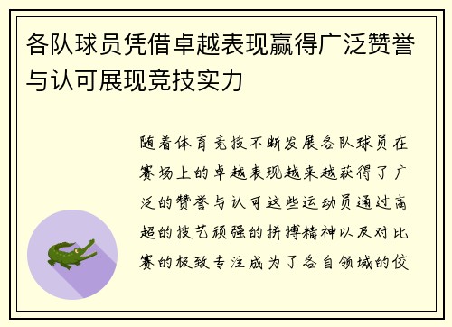 各队球员凭借卓越表现赢得广泛赞誉与认可展现竞技实力