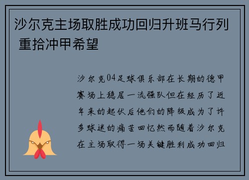 沙尔克主场取胜成功回归升班马行列 重拾冲甲希望